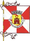 Flag of Miranda do Douro
