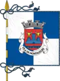 Flag of Town of Montalegre