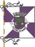 Flag of Oliveira do Bairro