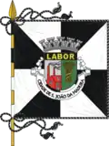 Flag of São João da Madeira