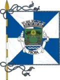 Flag of Trofa