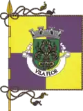 Flag of Vila Flor