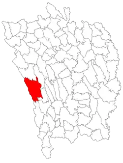 Location in Vaslui County