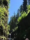 July afternoon in Punchbowl Falls