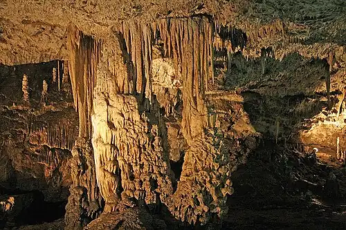 Přední dóm
