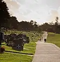View of Purewa Cemetery