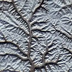 From space