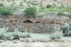 Goldmine Gulch. The gulch is a narrow and steep-sided ravine marking the course of a fast stream.