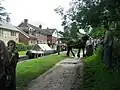 Queenie the Boathorse