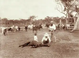 Booral horse station, circa 1898