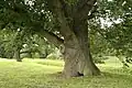 Habitat, England