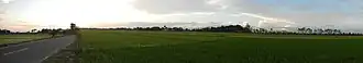 A Panorama
