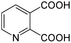 2D representation of the chemical structure of quinolinic acid .