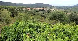 A general view of Quintillan