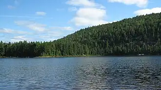 a dense forest in the distance with a body of water towards the viewer