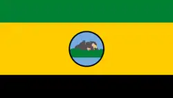 Flag of Río Negro Municipality