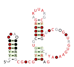 RAGATH-16 Secondary structure taken from the Rfam database. Family RF03047