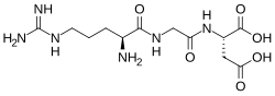 Stereo, skeletal formula of arginylglycylaspartic acid