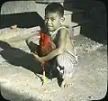 Boy with his prize fighting chicken, Ewa Plantation, 1932, hand-painted glass plate photograph