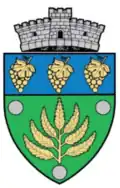Coat of arms of Mica