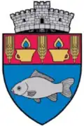 Coat of arms of Șăulia