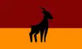 Flag of Roznov