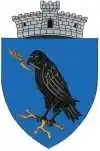 Coat of arms of Ciorani