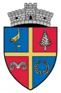 Coat of arms of Rășinari