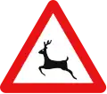 Wild animals