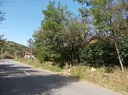 Ceaca