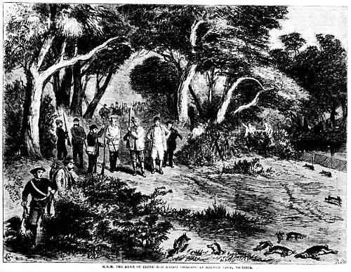The rabbit shooting