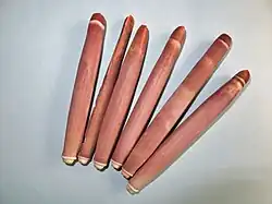 Radiols (spikes) of a "slate pencil sea urchin" (Heterocentrotus mamillatus). They are a classical souvenir.