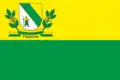 Flag of Radushne
