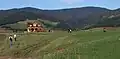 Scenery