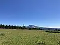 Raft Mountain, taken from the flower meadows of Trophy Mountain