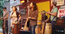 The Ragbirds performing at Albino Skunk Music Festival in Greer, South Carolina, October 2013.