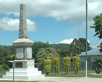 Topiary in Railton