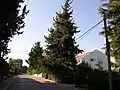 Street in Ramot Naftali