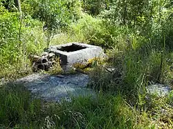 Remnant structure over the artesian spring, Ramsey Springs, Mississippi, 2010