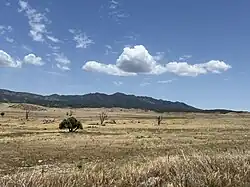 Ranchita landscape looking north from Montezuma Valley Road