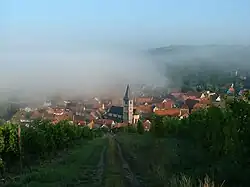 Randersacker on a foggy summer morning