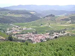 A general view of Rasiguères