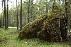 Large Stone of Raudalu, natural heritage monument