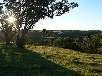 Hills of the Razorback Range located in between Camden and Picton.