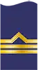 Teniente Coronel