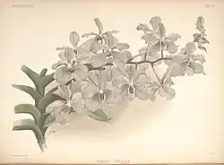 Henry George Moon (1893)