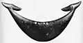 A large (61&nbsp;cm) reimiro with very stylized faces. It may be that pectorals of this size were worn by men.