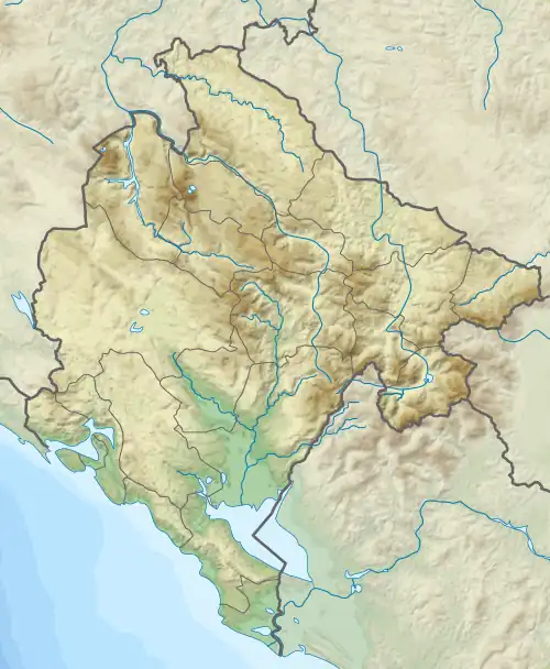 Podgorica is located in Montenegro