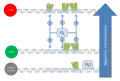 Lysogen repression all 3 sites bound is a low occurrence due to OR3 weak binding affinity. OR1 repression increases binding affinity to OR2 due to repressor-repressor interaction. Increased concentrations of repressor increase binding.