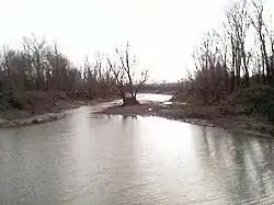 A view to the South of the old bed of the Mississippi River before the 1811/1812 earthquakes